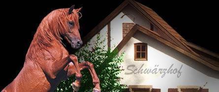 Landhotel Schwaerzhof Kulmbach Zewnętrze zdjęcie